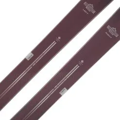 Elan Ripstick 94 W (2022/23) -Vendite Kästle 22 w ripstick 94 ADFJHB22 3